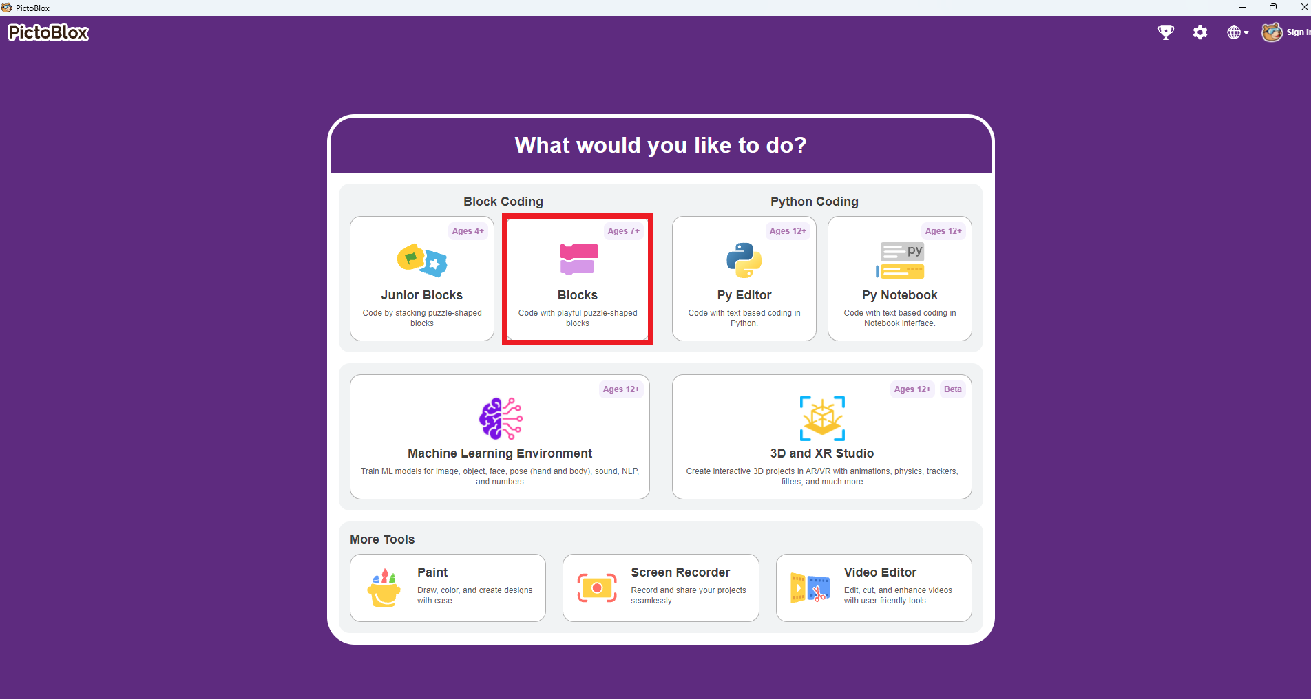 7-pictoBlox-interface-blocks-option